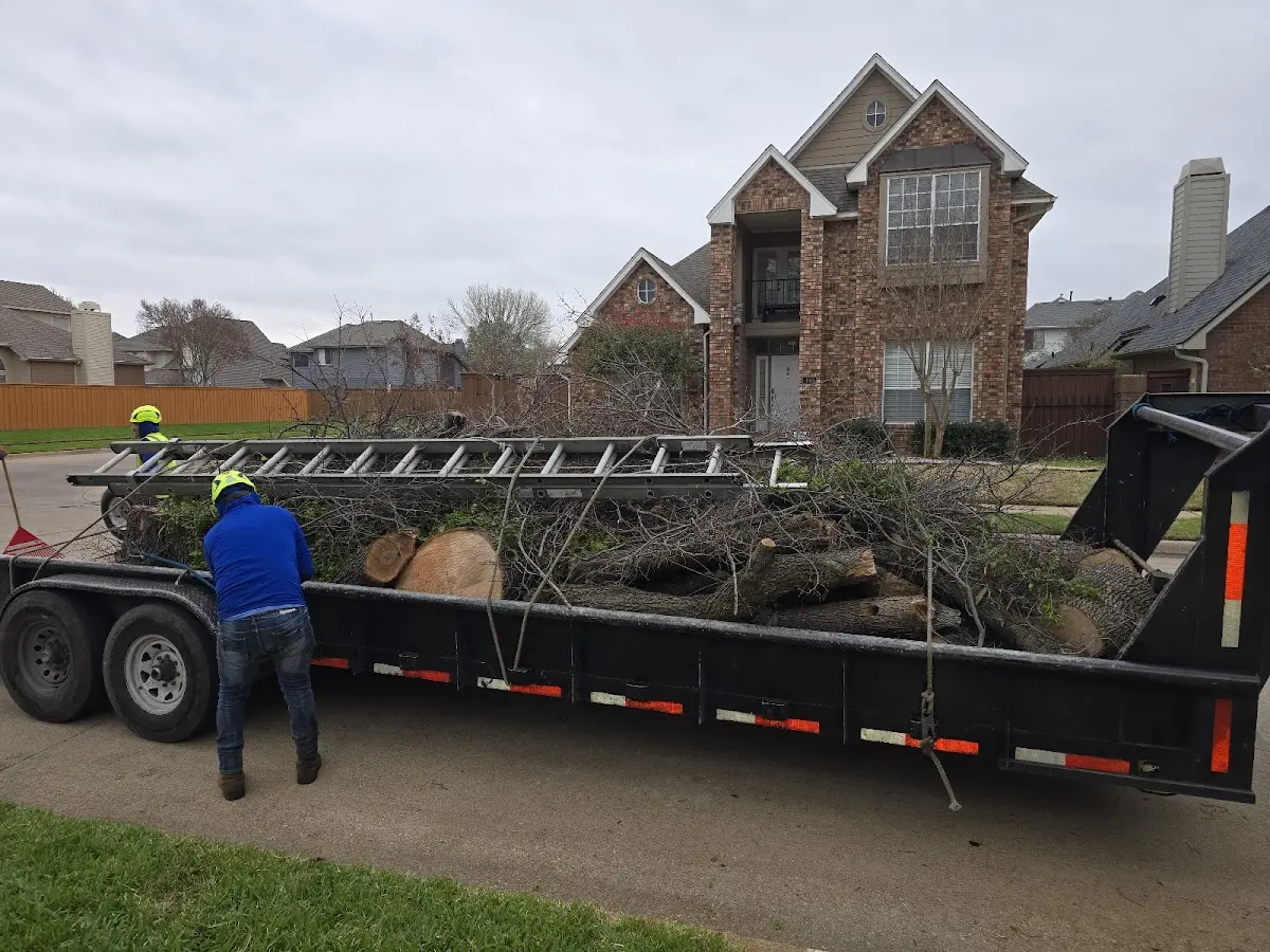 Expert Lot Clearing with proper safety equipment in Tarrs
